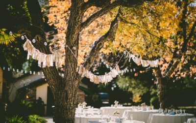 Outdoor Wedding Lighting Ideas