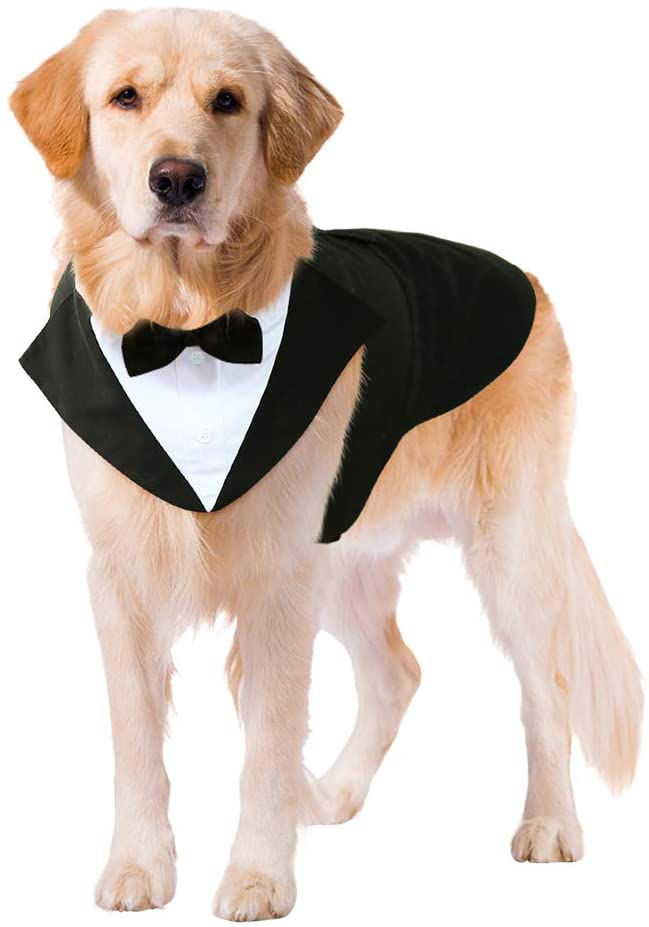 Kuoser Dog Tuxedo